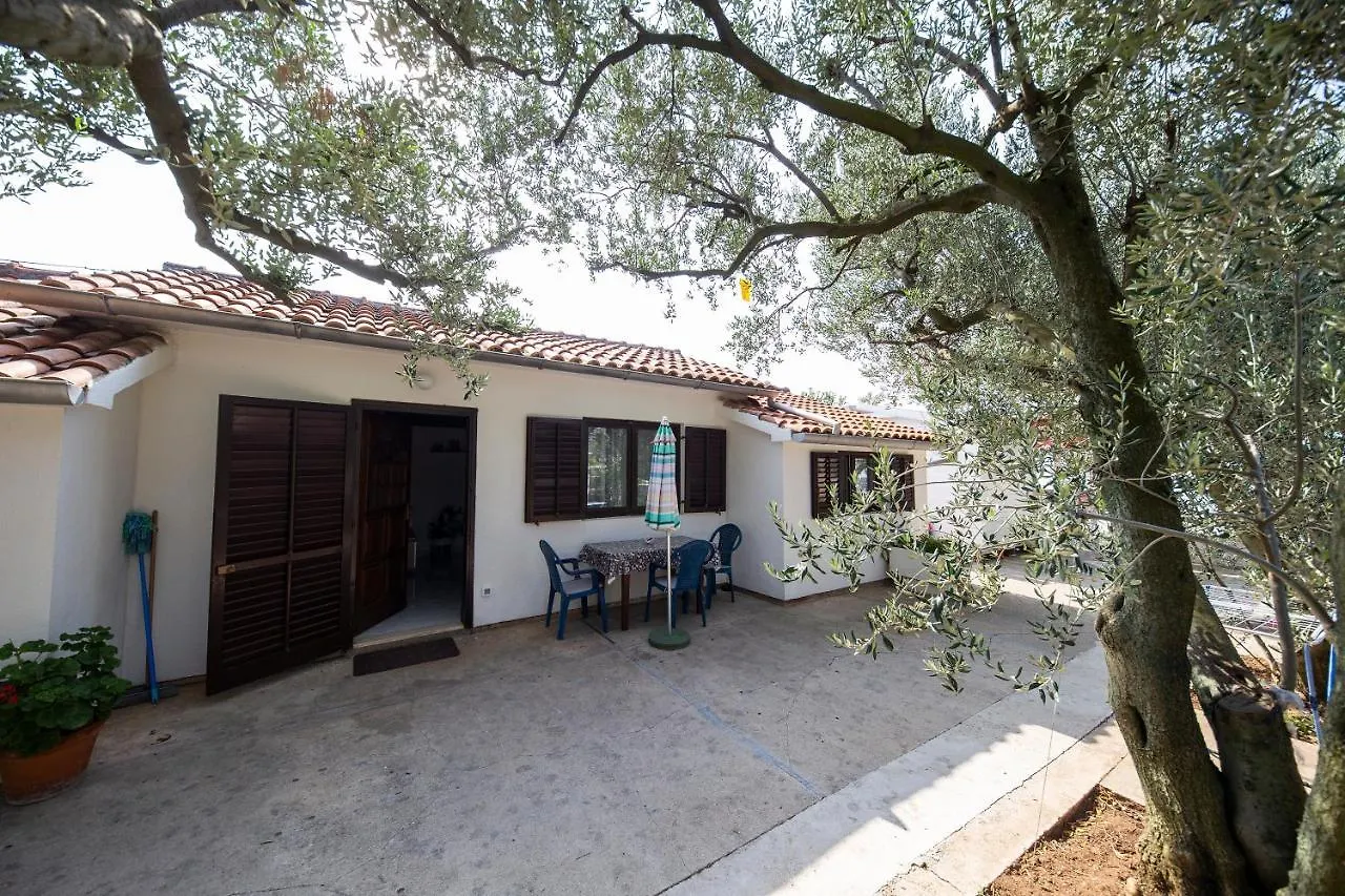 Maslina Apartman Zadar Apartment