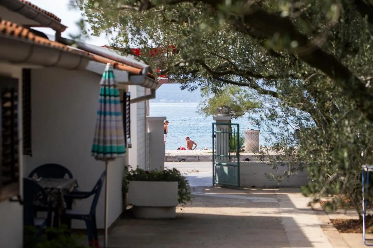 Apartment Maslina Apartman Zadar Kroatien