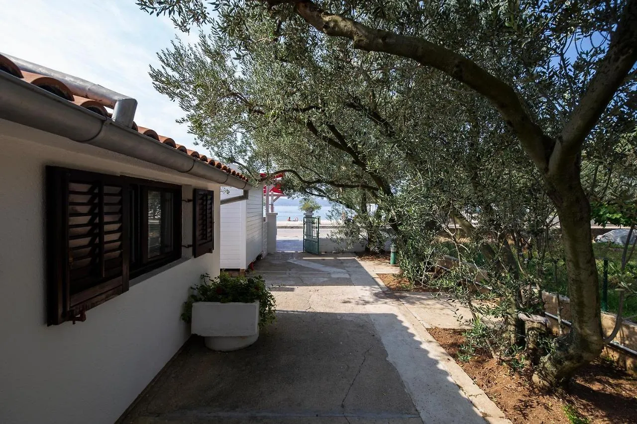 Maslina Apartman Zadar
